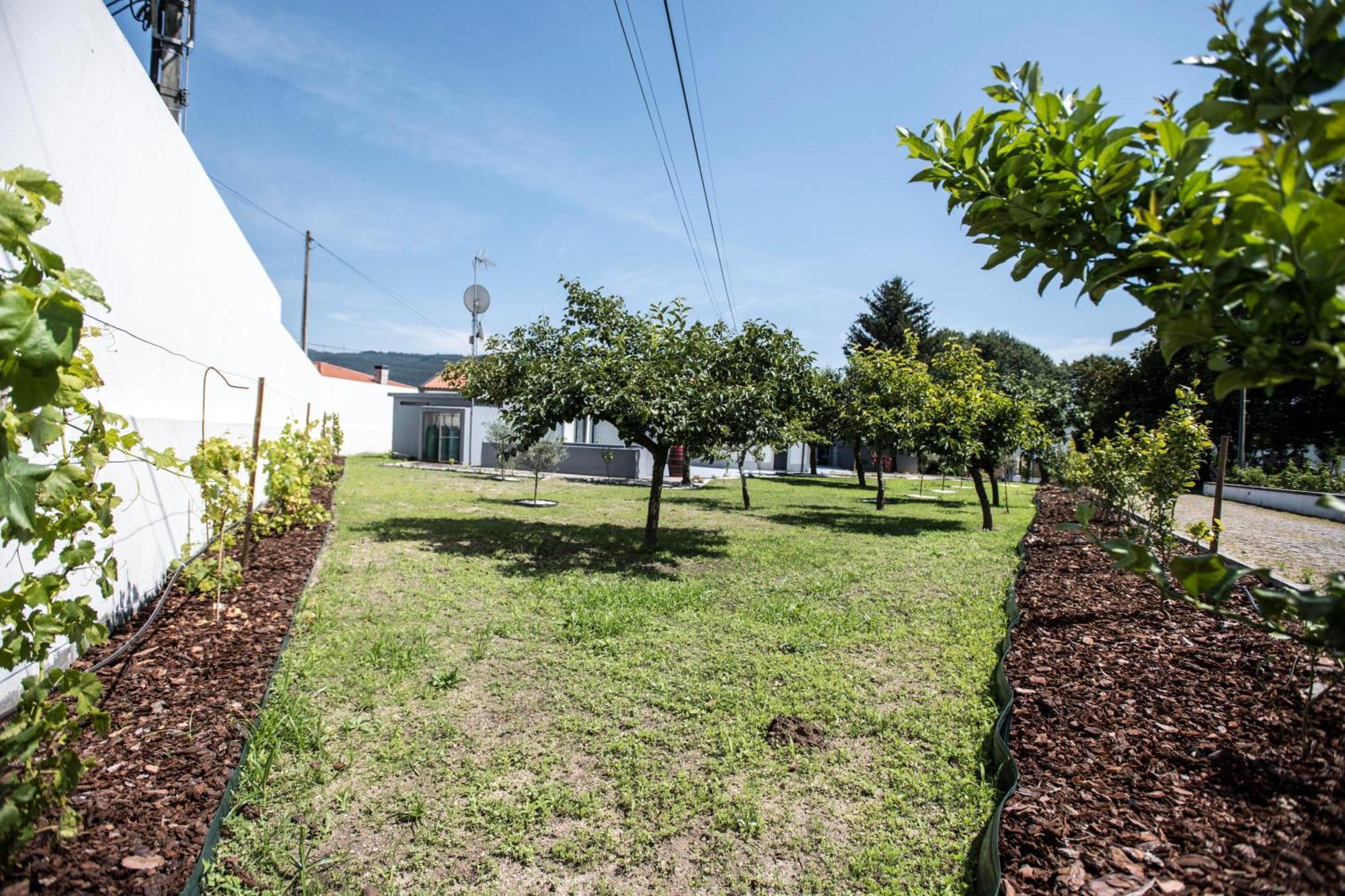 Quinta Do Pomar Pomar Farm Villa Briteiros Exterior photo